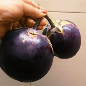 ২ প্যাকেট তাল বেগুন বীজ ৬৫০৳