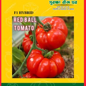 Red Ball Tomato 120+ Seeds ছাদ বাগান