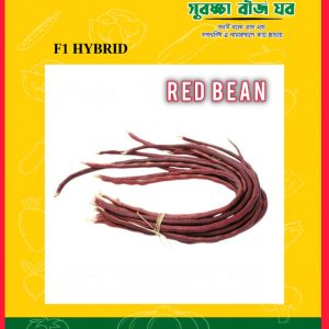 RED BEAN