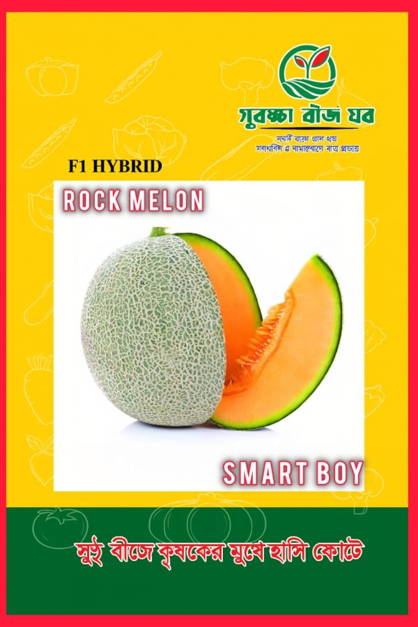 ROCK MELON