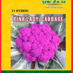 Pink Lady Cabbage