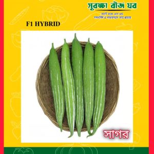 সাগর