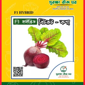 হাইব্রিড বিটরুট - কণা