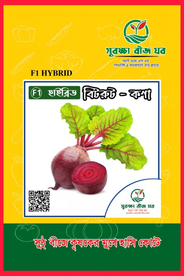 হাইব্রিড বিটরুট - কণা