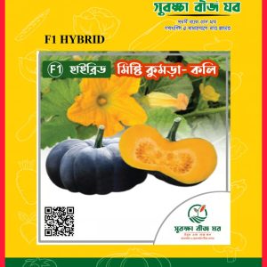 হাইব্রিড মিষ্টি কুমড়া কলি
