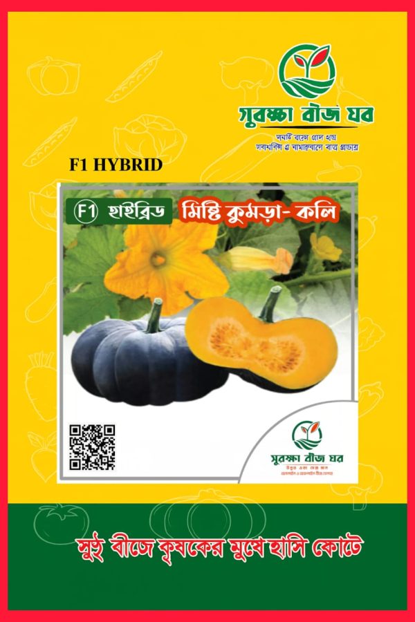 হাইব্রিড মিষ্টি কুমড়া কলি