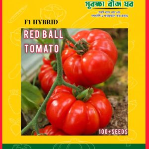 Red Ball Tomato 500+ Seeds বাণিজ্যিক