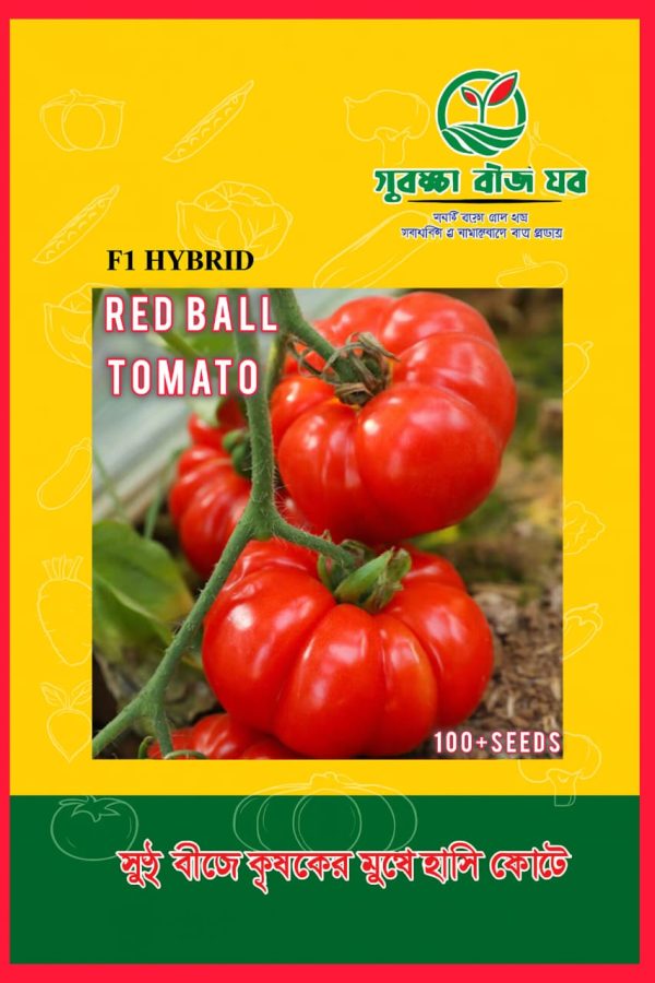Red Ball Tomato 500+ Seeds বাণিজ্যিক